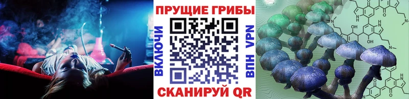 Купить где  Кириши  Псилоцибиновые грибы Magic Shrooms 